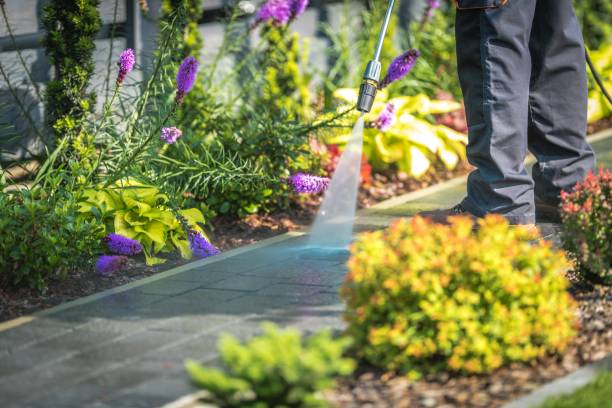 Best Fence Cleaning  in Blair, WI